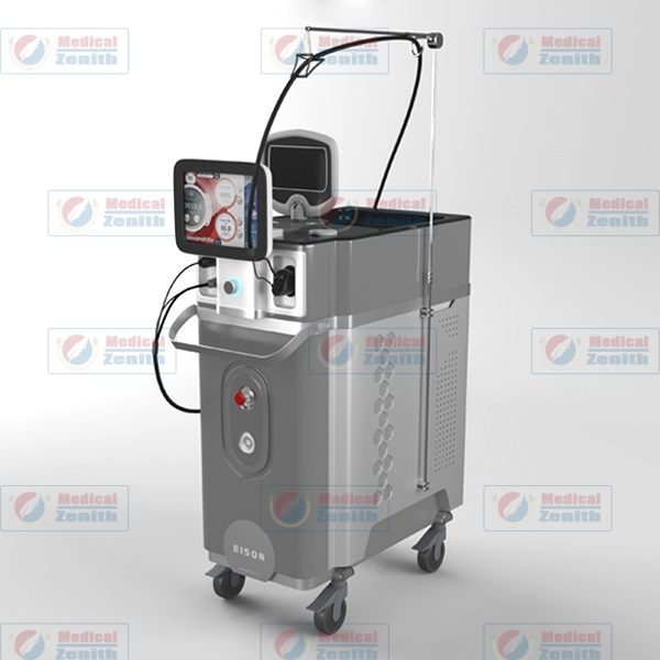 Bison Dual ACCENTO Nd YAG Laser
